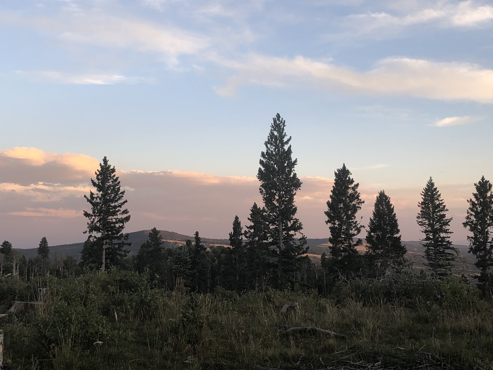 Canjilon Lakes Campground