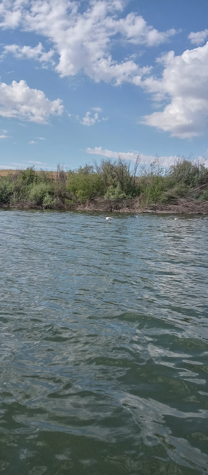 Four Seasons Campground and Resort