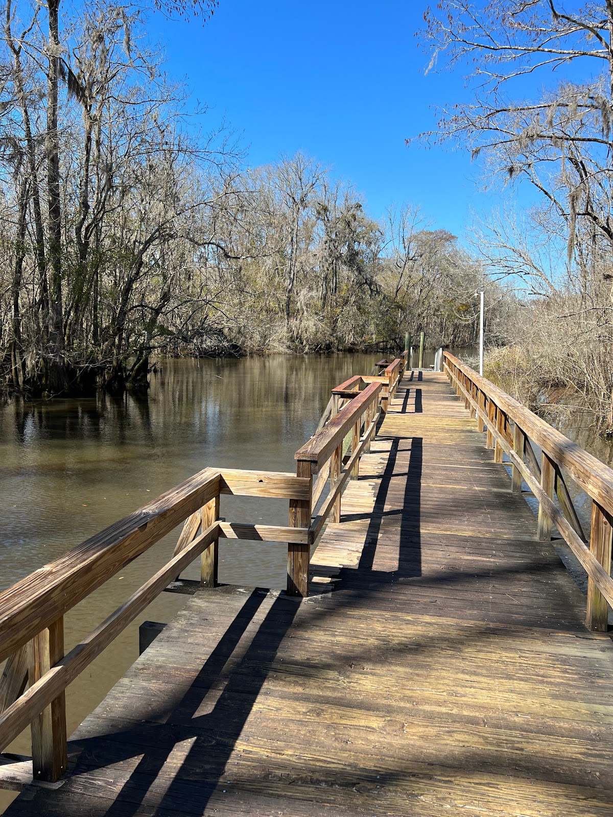 Savannah Oaks RV Resort