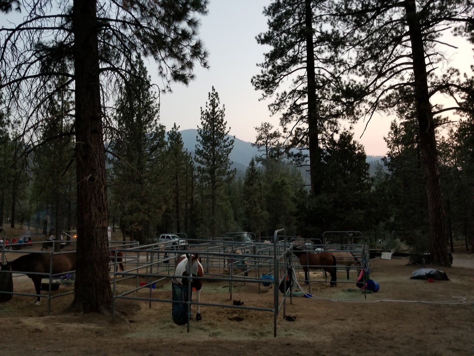 Heart Bar Equestrian Campground