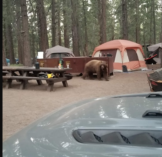 New Shady Rest Campground