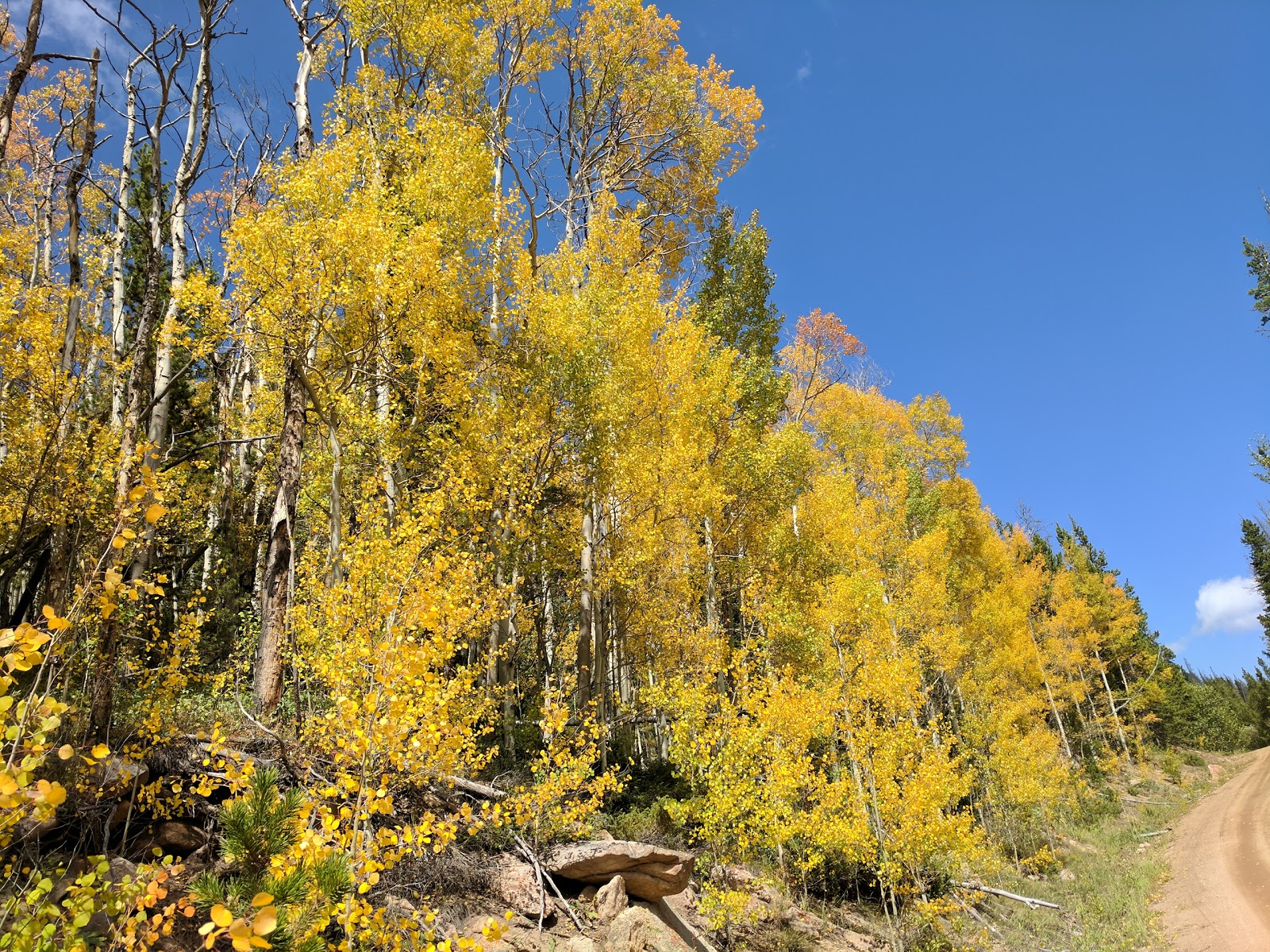 North Fork Poudre Campground