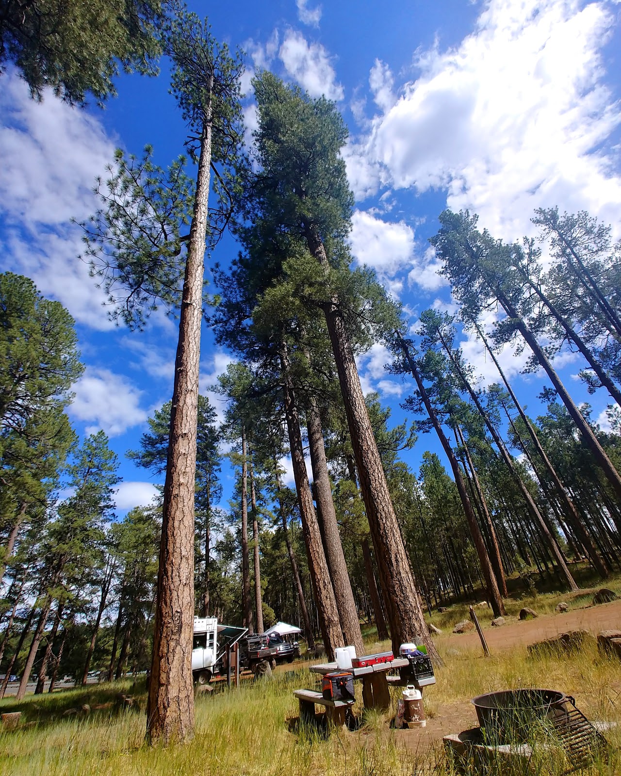 Clints Well Campground