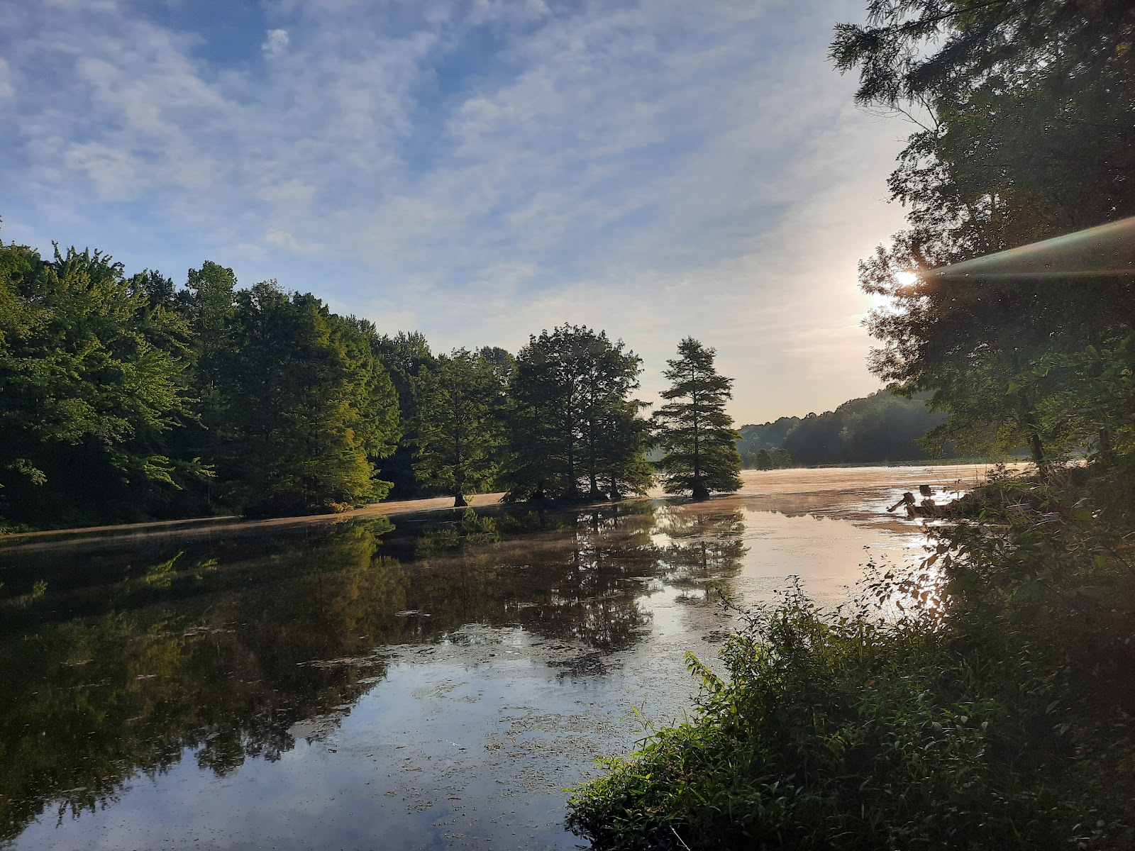 Starve-Hollow State Recreation Area