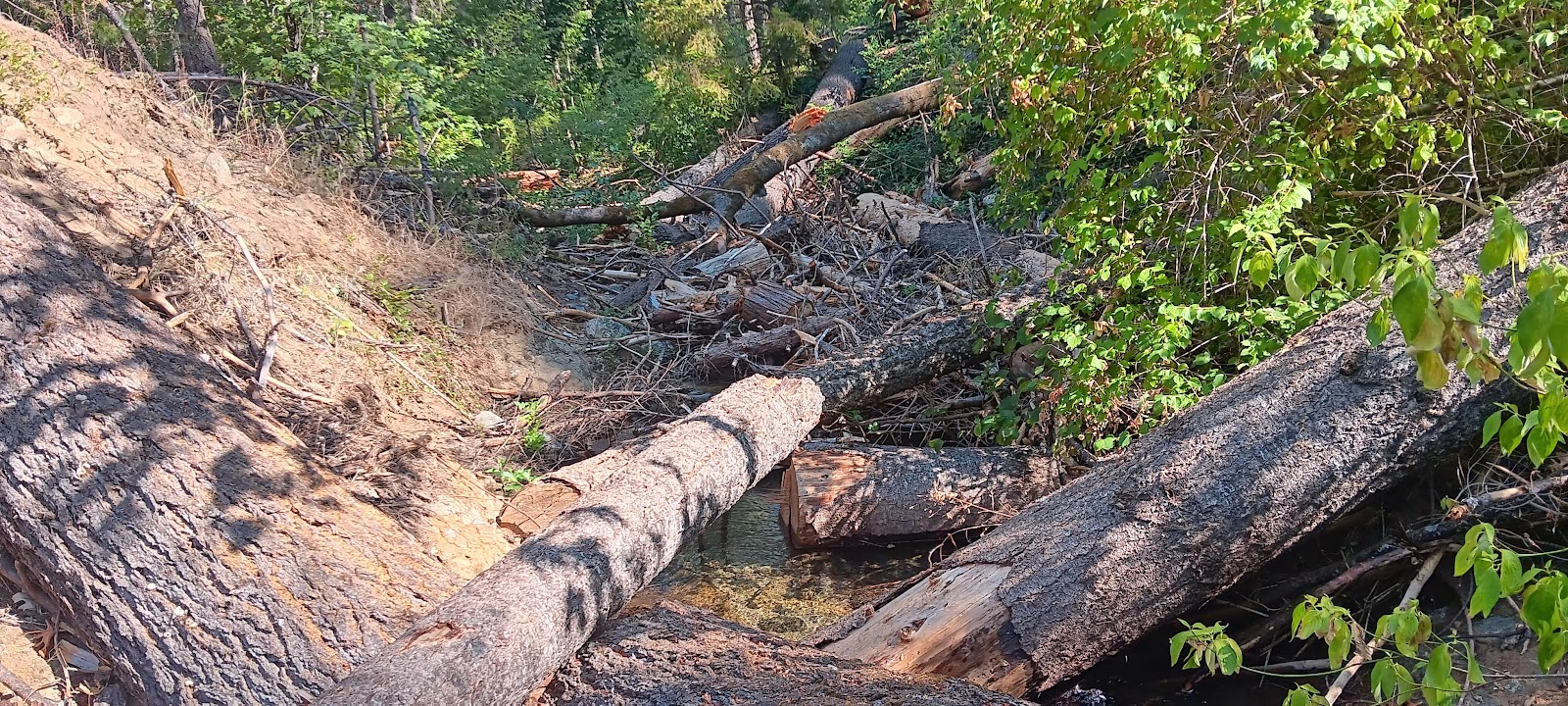 East Weaver Campground