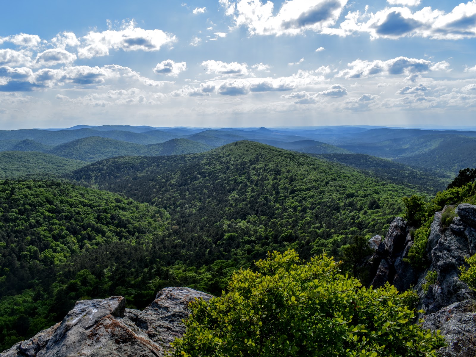 Flatside Wilderness Area