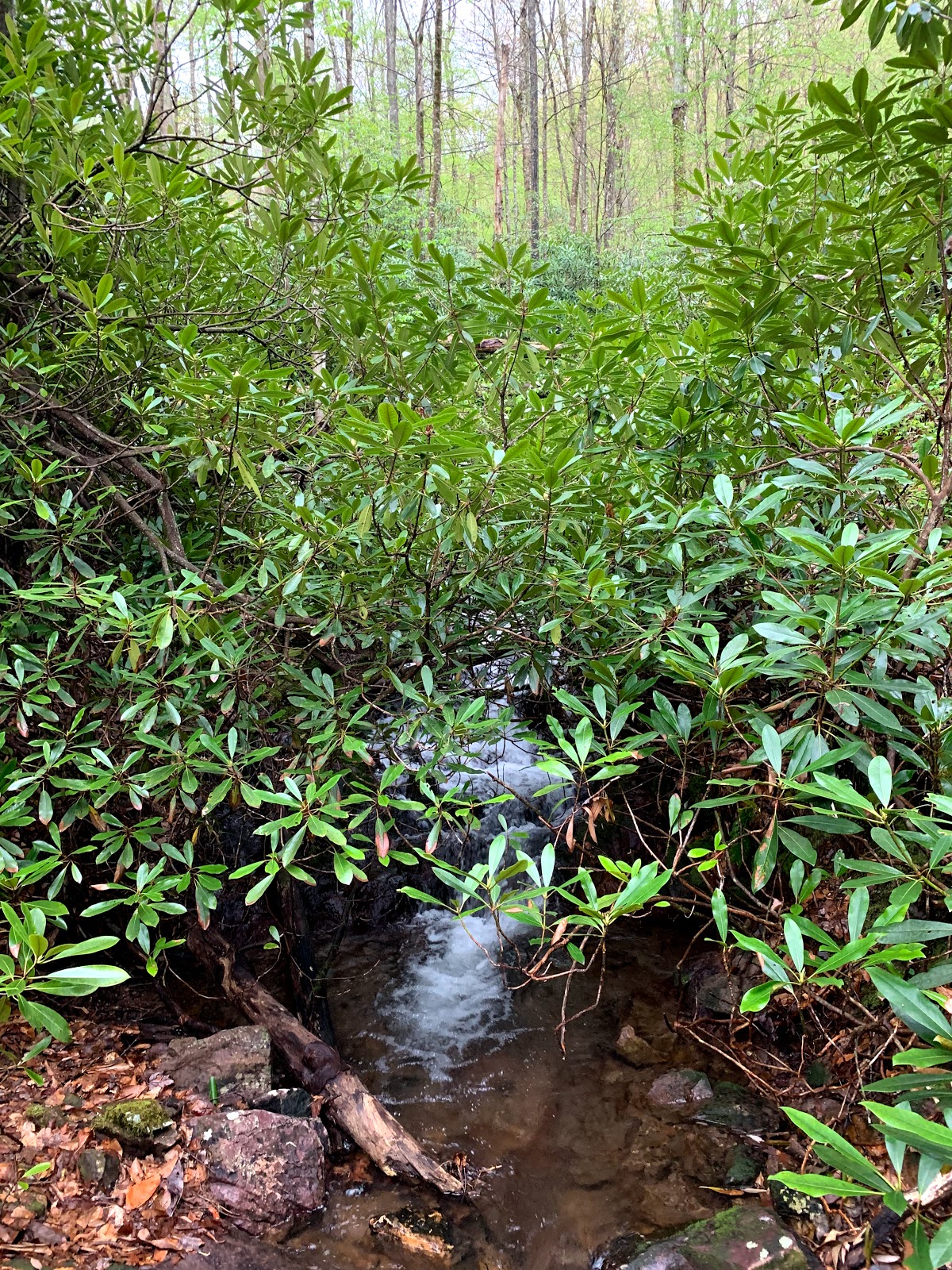 Grindstone Recreation Area