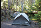 Heart of the Hills Campground - Olympic National Park