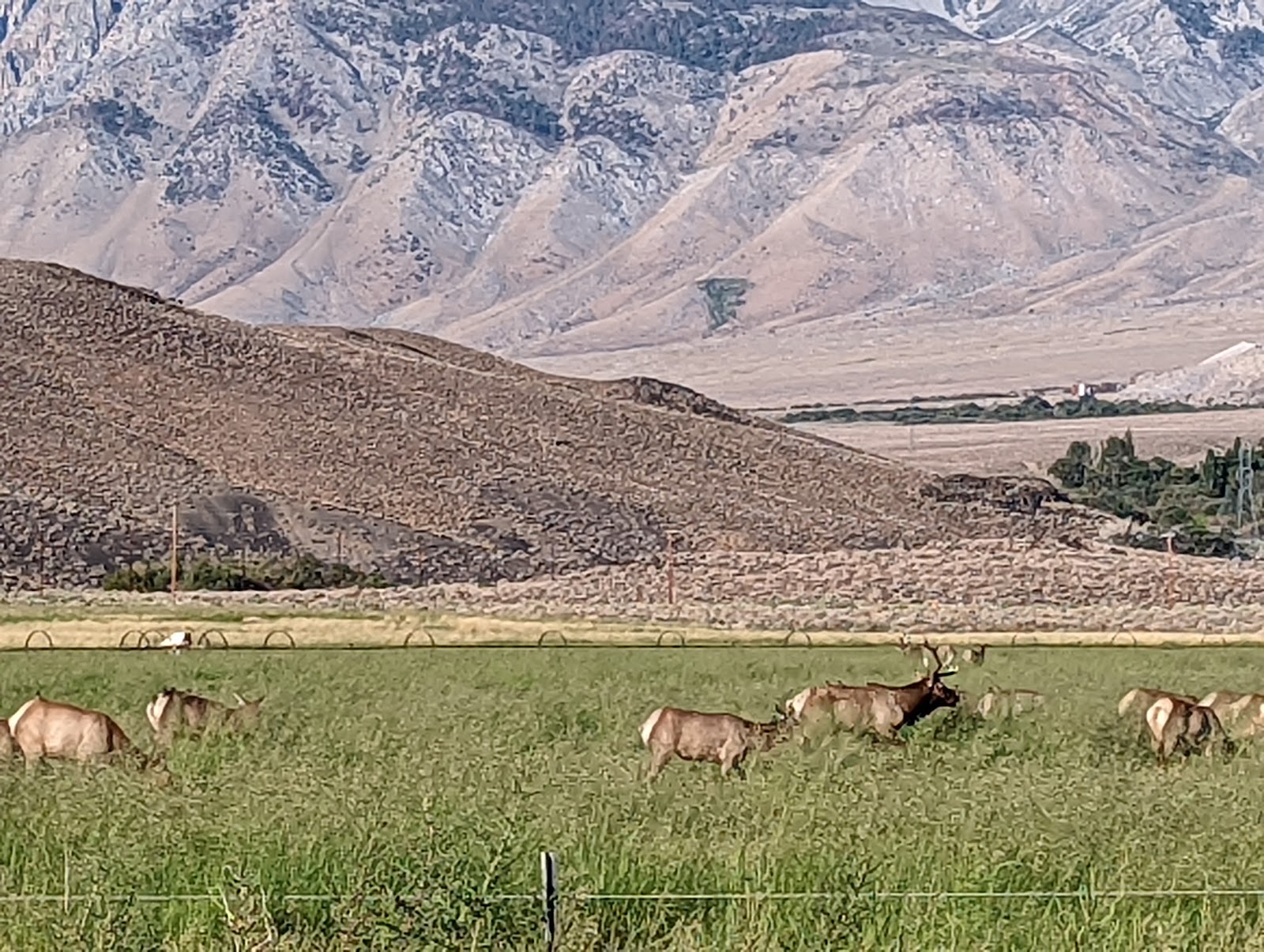 Crowley Lake Campground