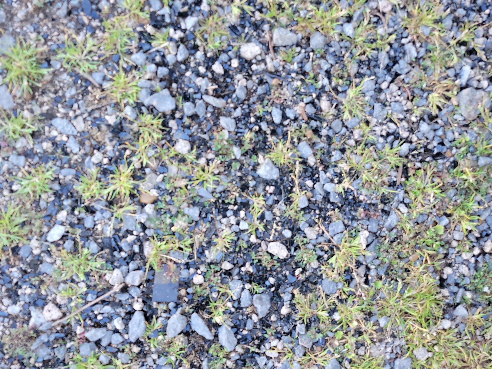 The Fishing Camp Tackle & RV Park