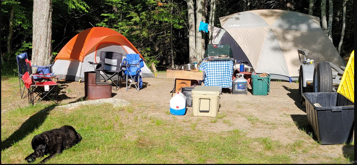 Branch Lake Camping area