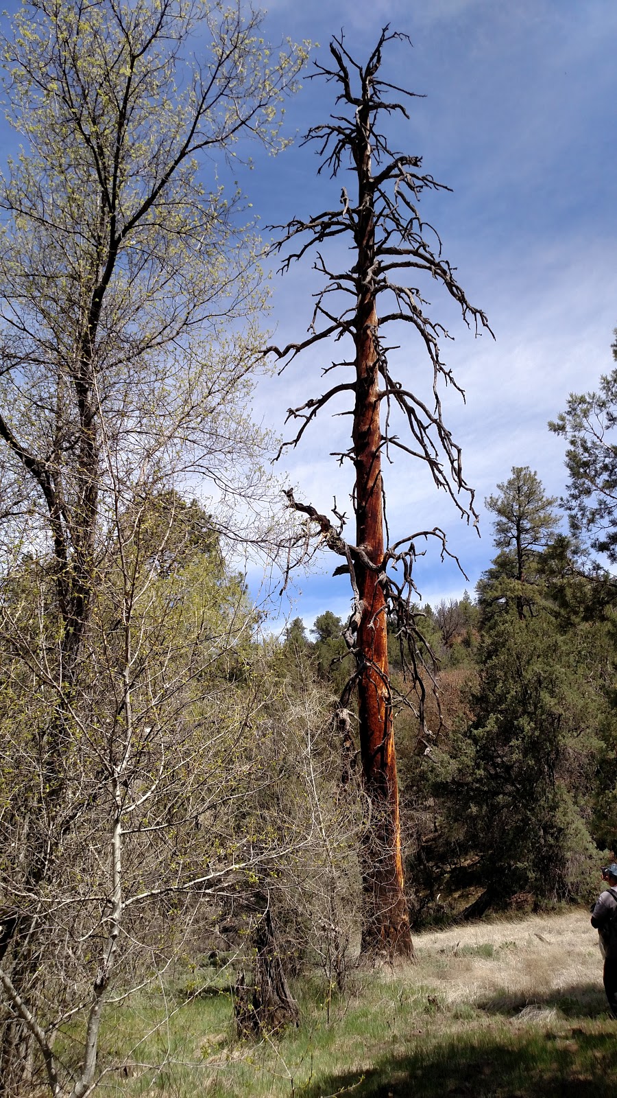 Black Canyon Campground-Upper