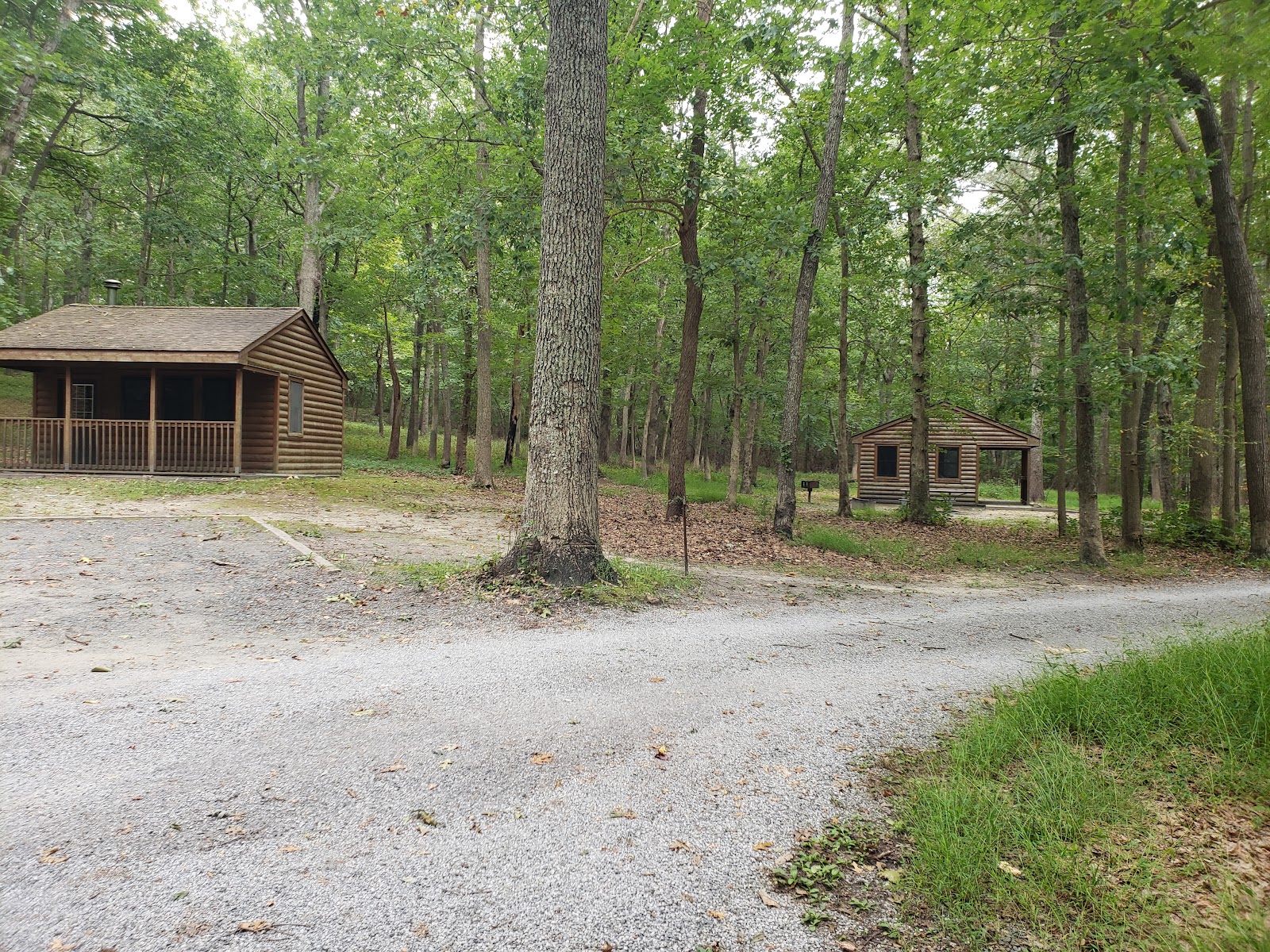 Allaire State Park Campground