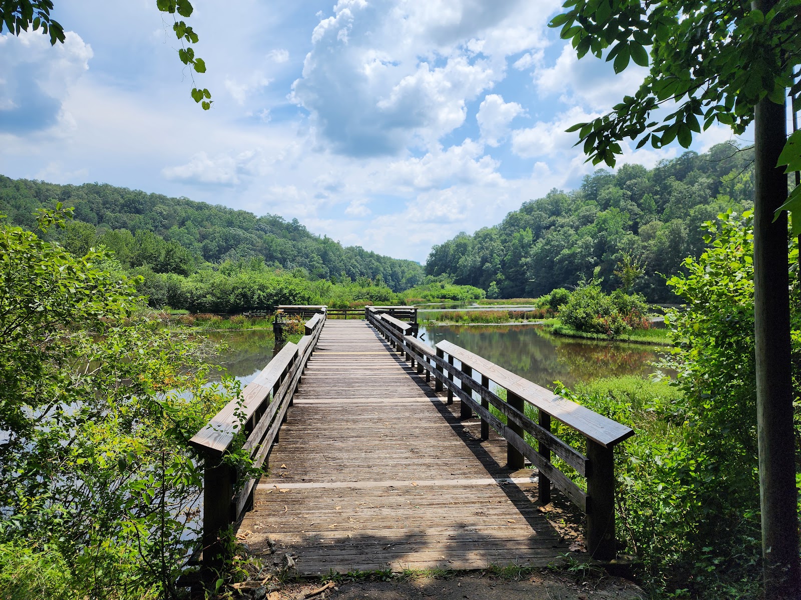 Brushy Lake NF Campground