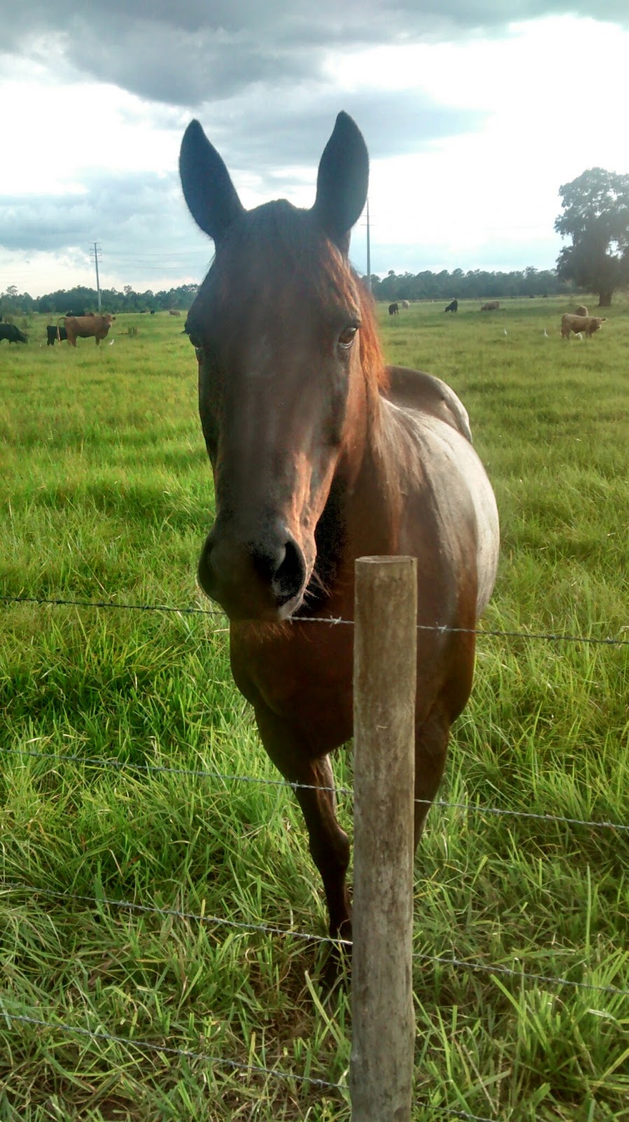 Bullock’s Landing RV Park