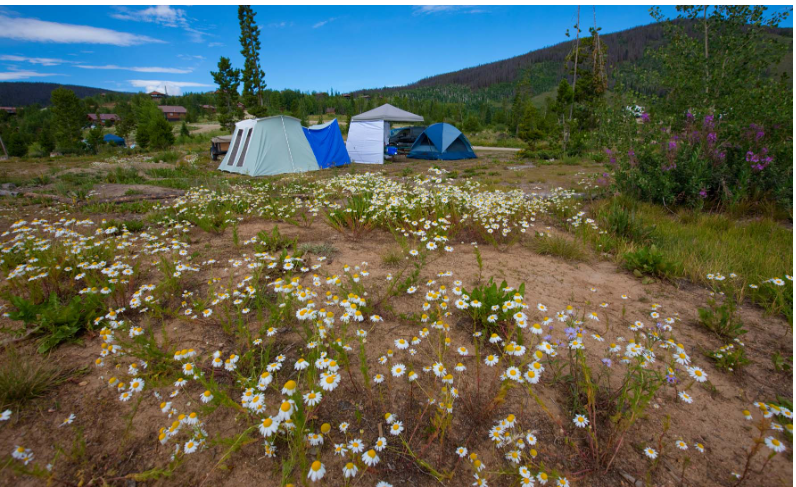 Scott Mountain Campground