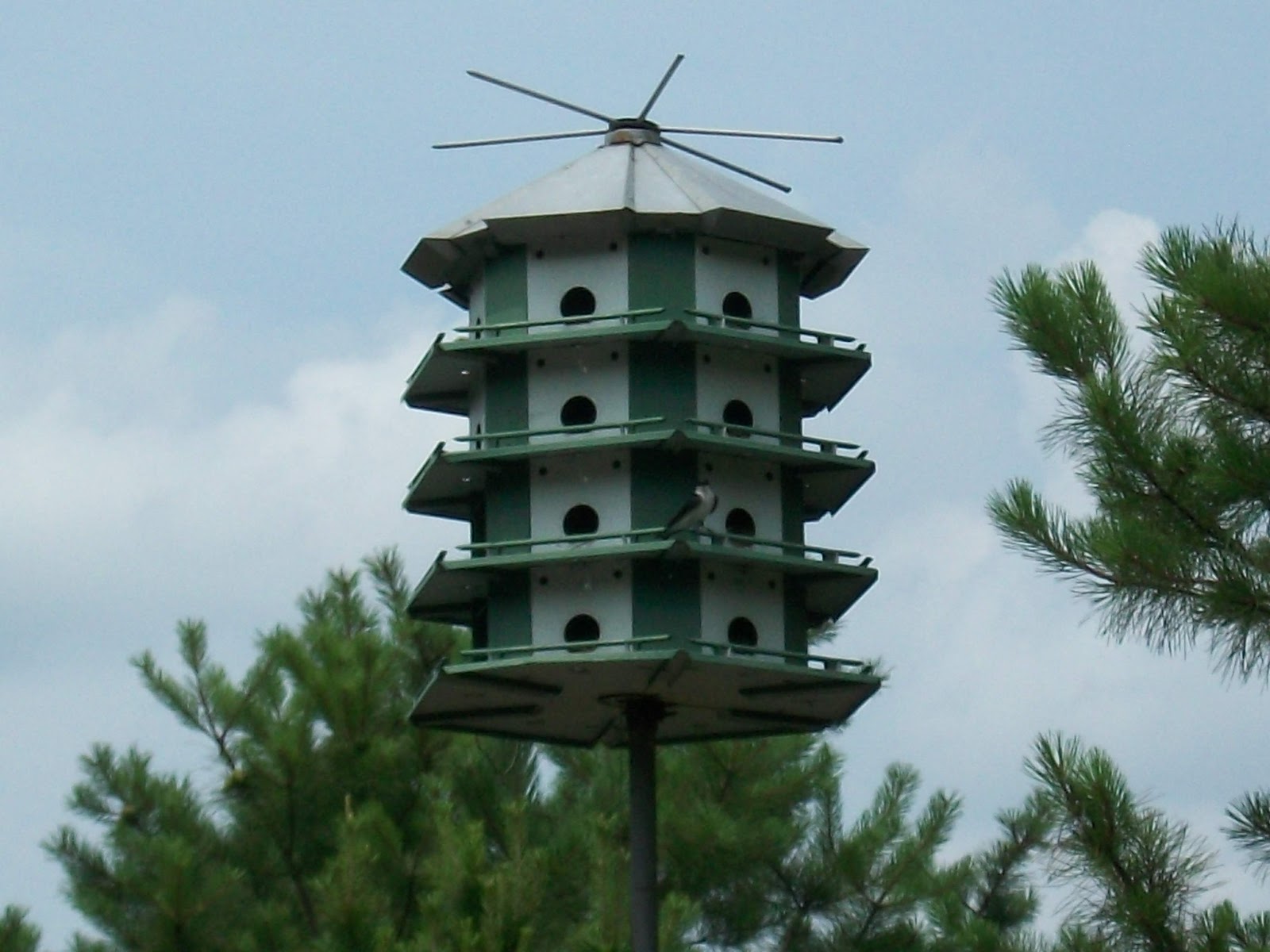 Belhaven Lake Resort Campground