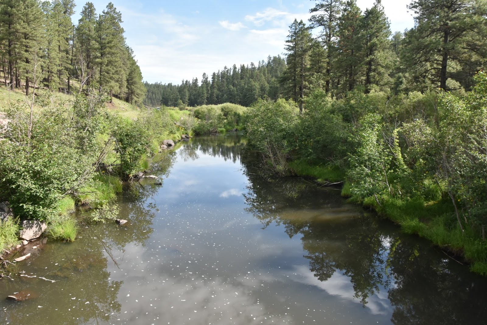 Buffalo Crossing Campground
