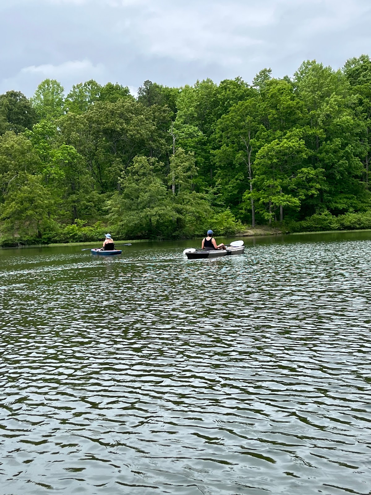 Rocky Branch Marina & Campground