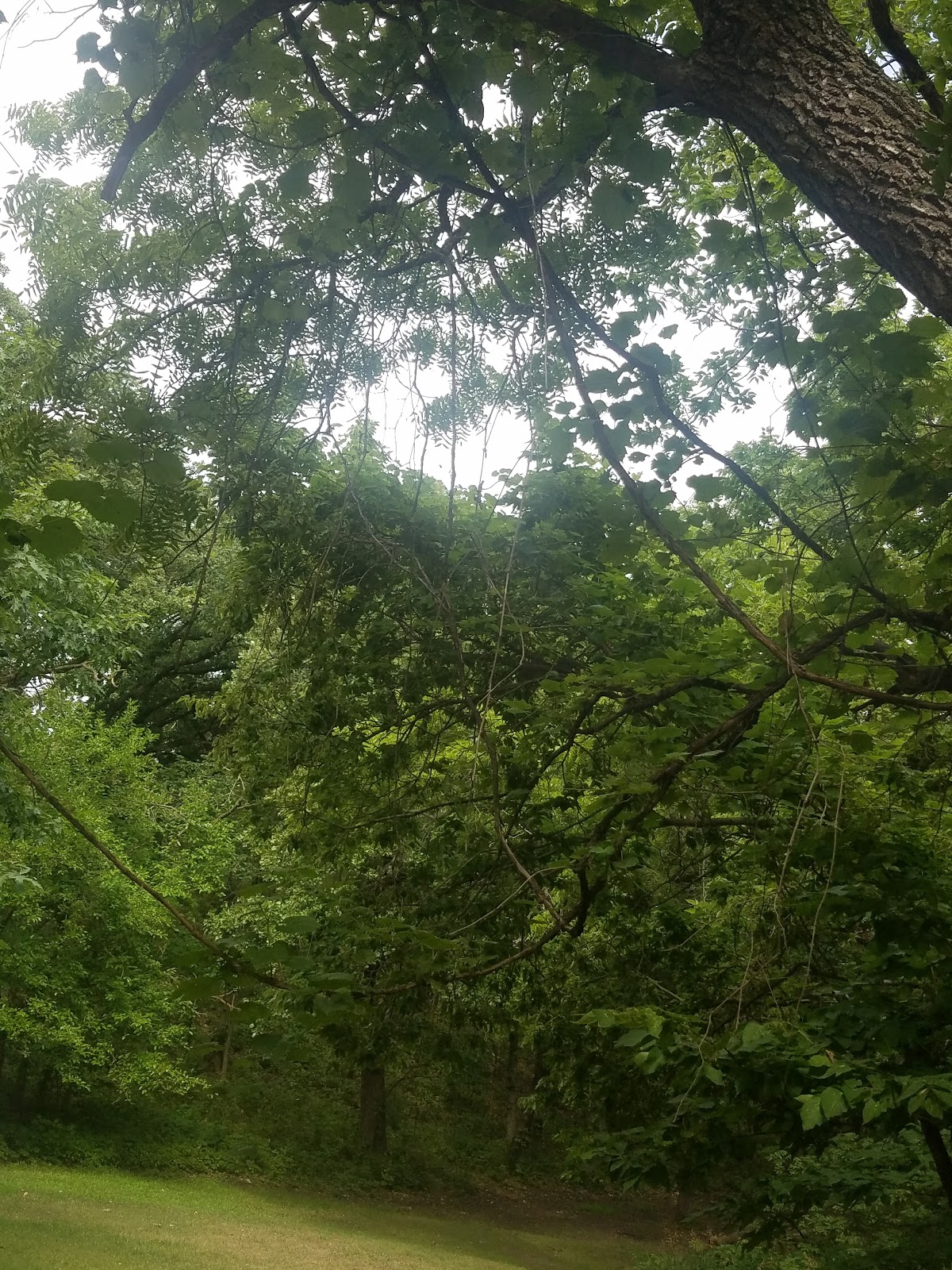 Grove Lake Wildlife Management Area