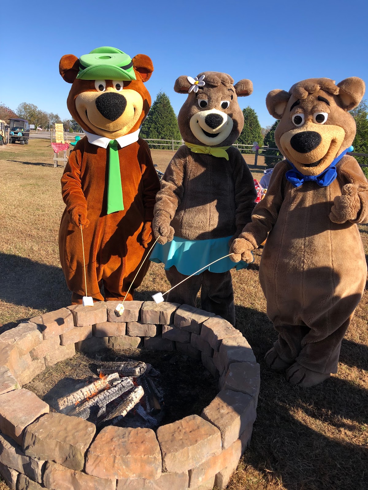 Yogi Bear's Jellystone Park™ at Daddy Joe's