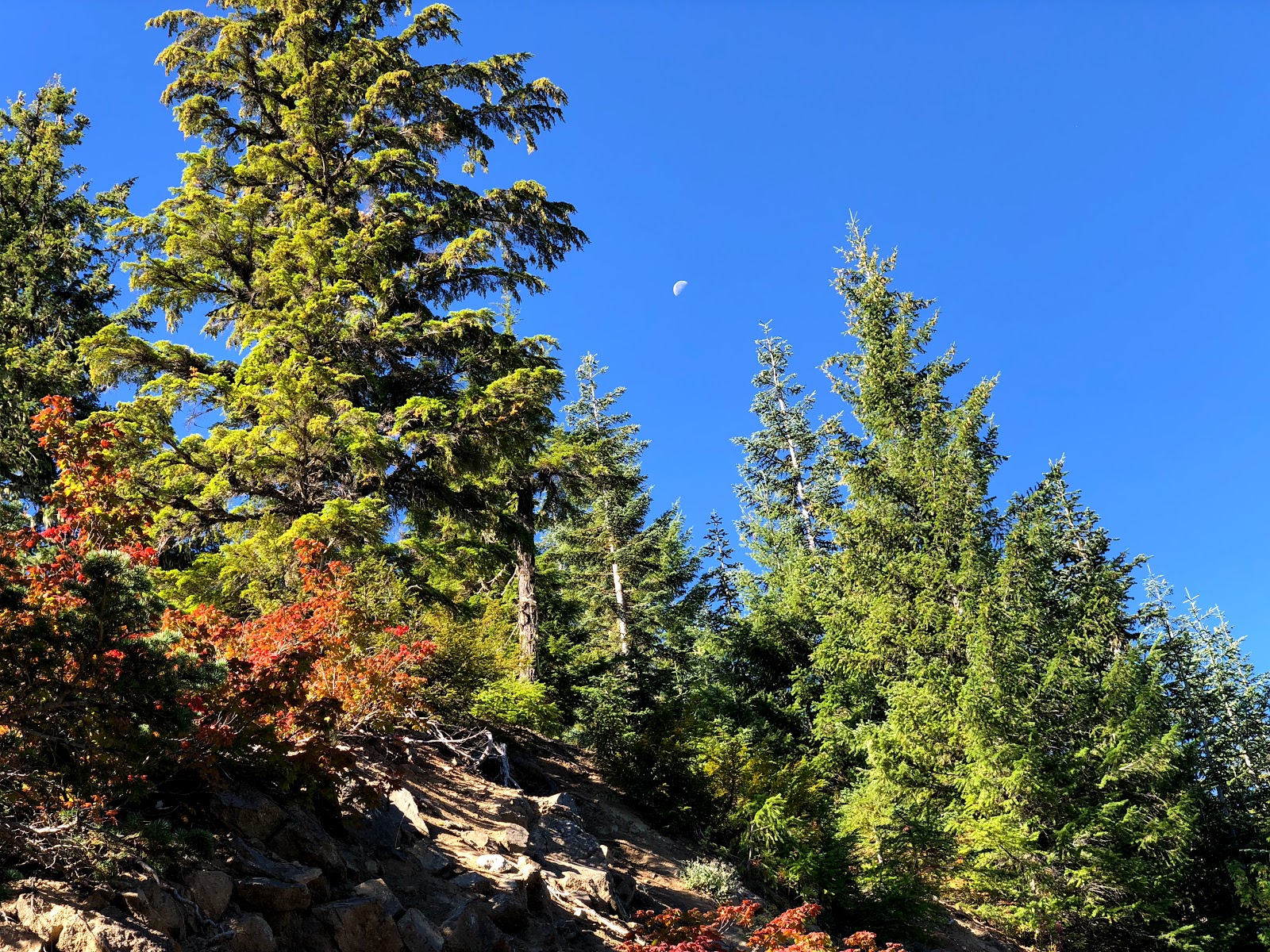 Cat Creek Campground