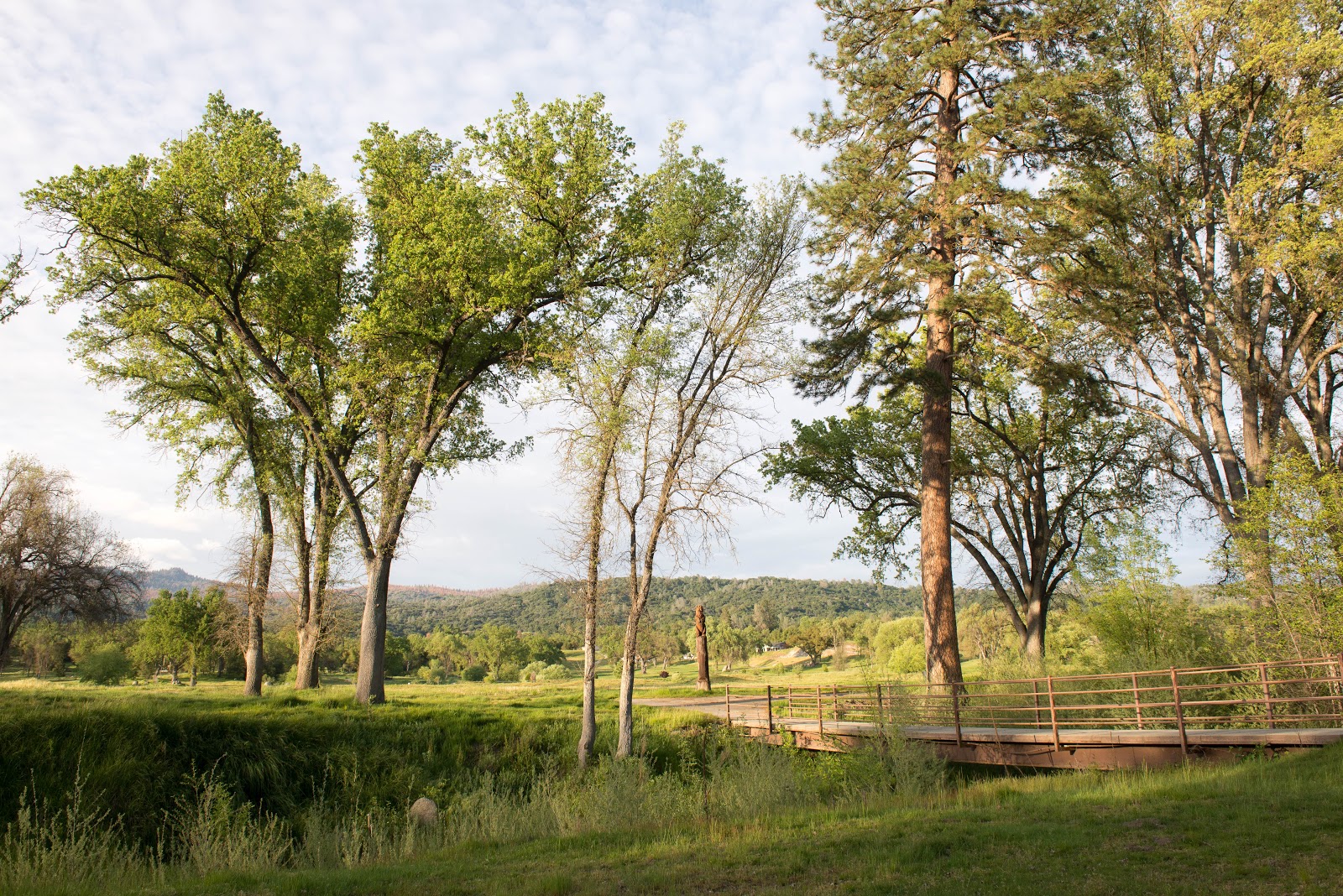 Sierra Meadows RV Park