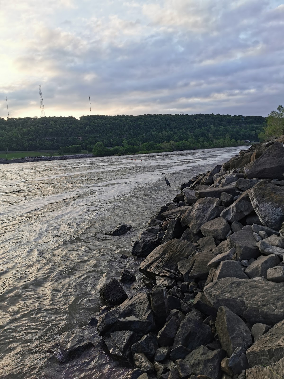 COE Taylor Ferry Camping