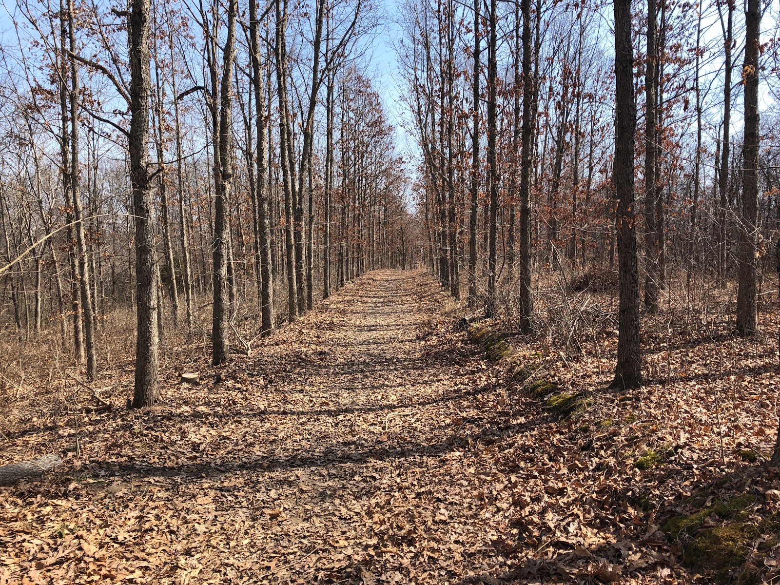 The McCully Heritage Project