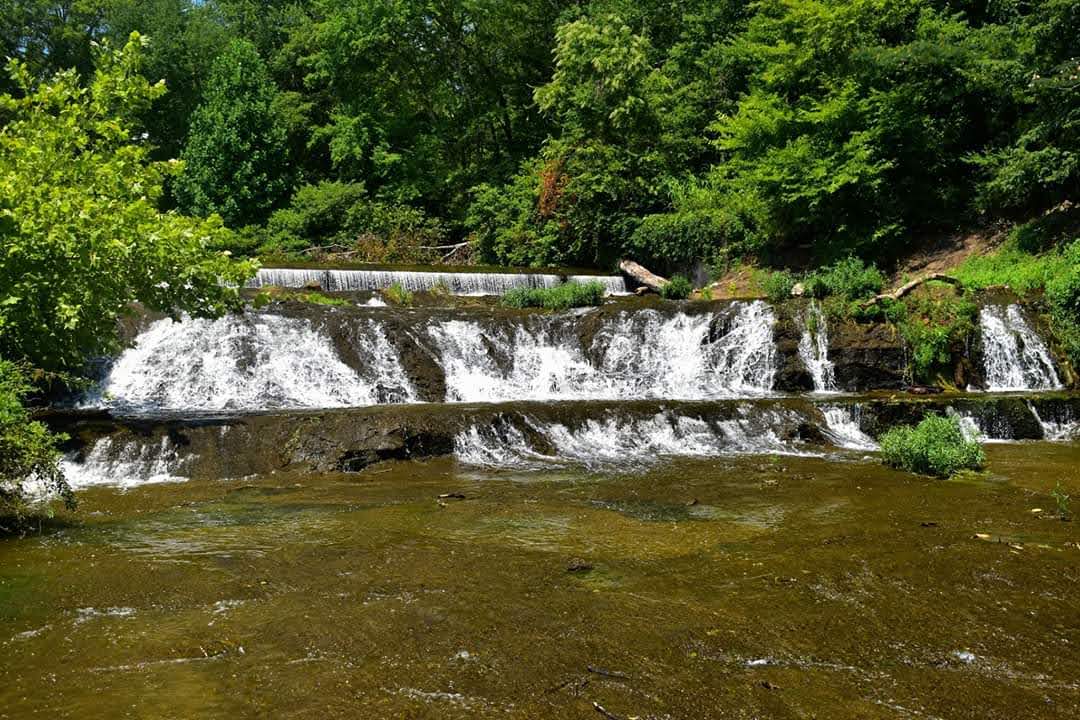 Campground 1 - David Crockett State Park