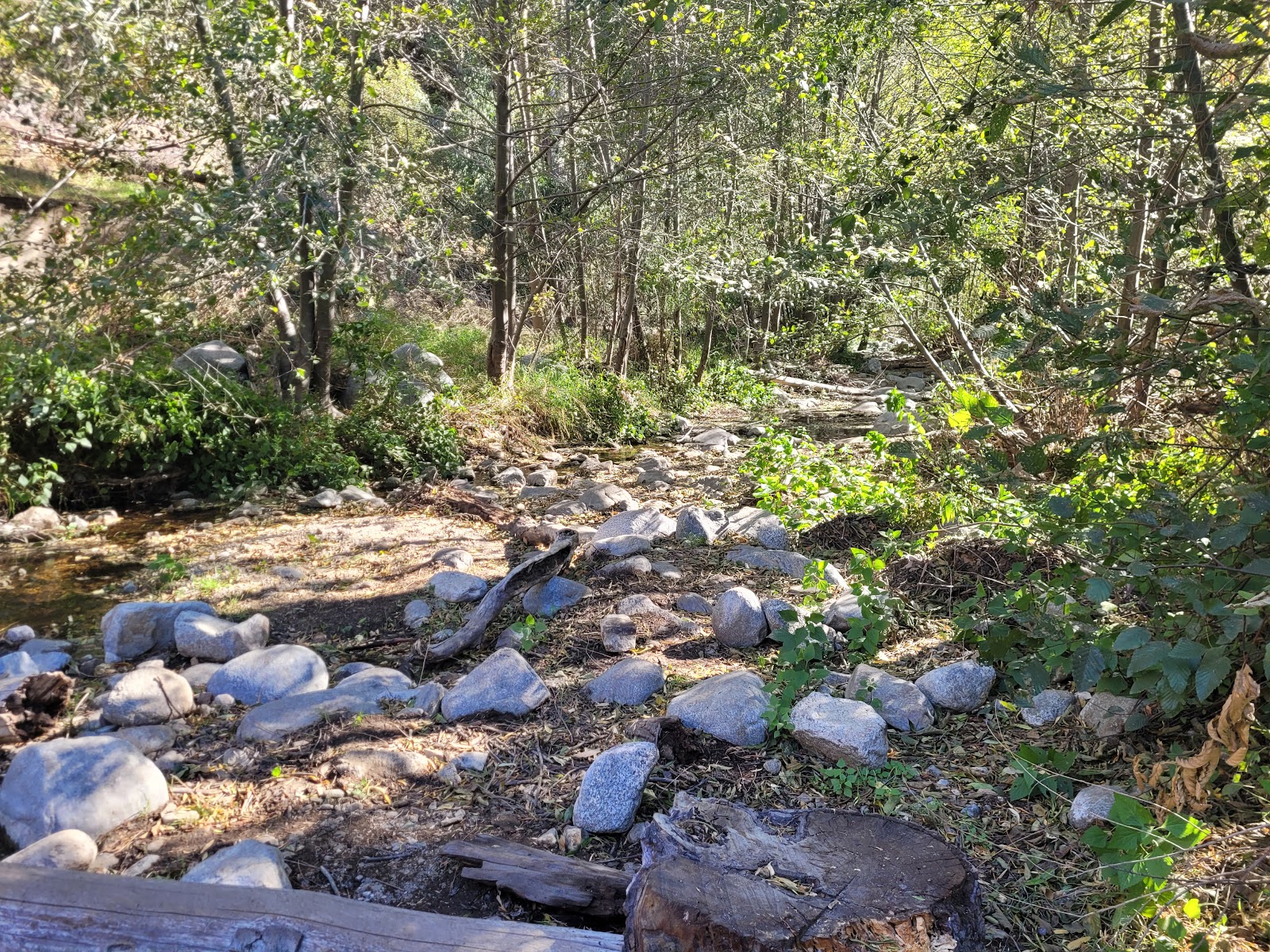 Gould Mesa Trail Camp