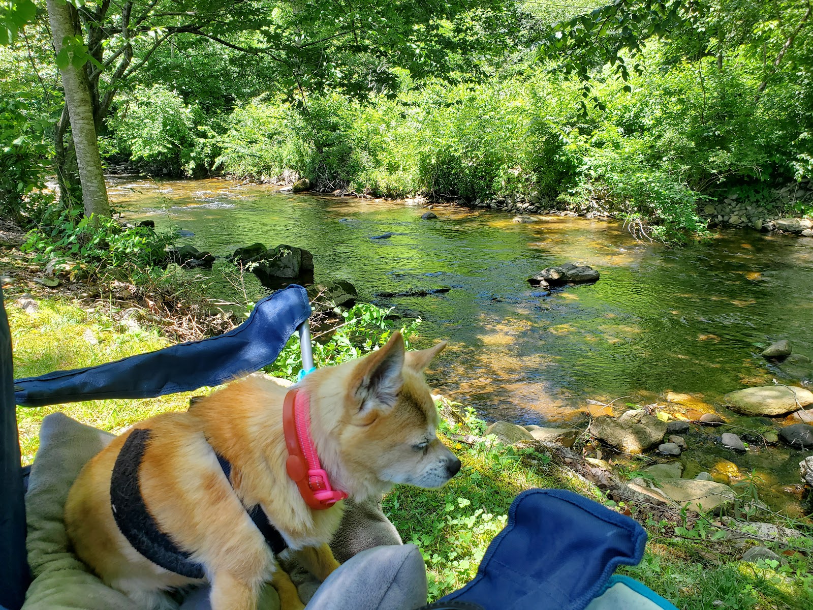 Mountain View RV Park