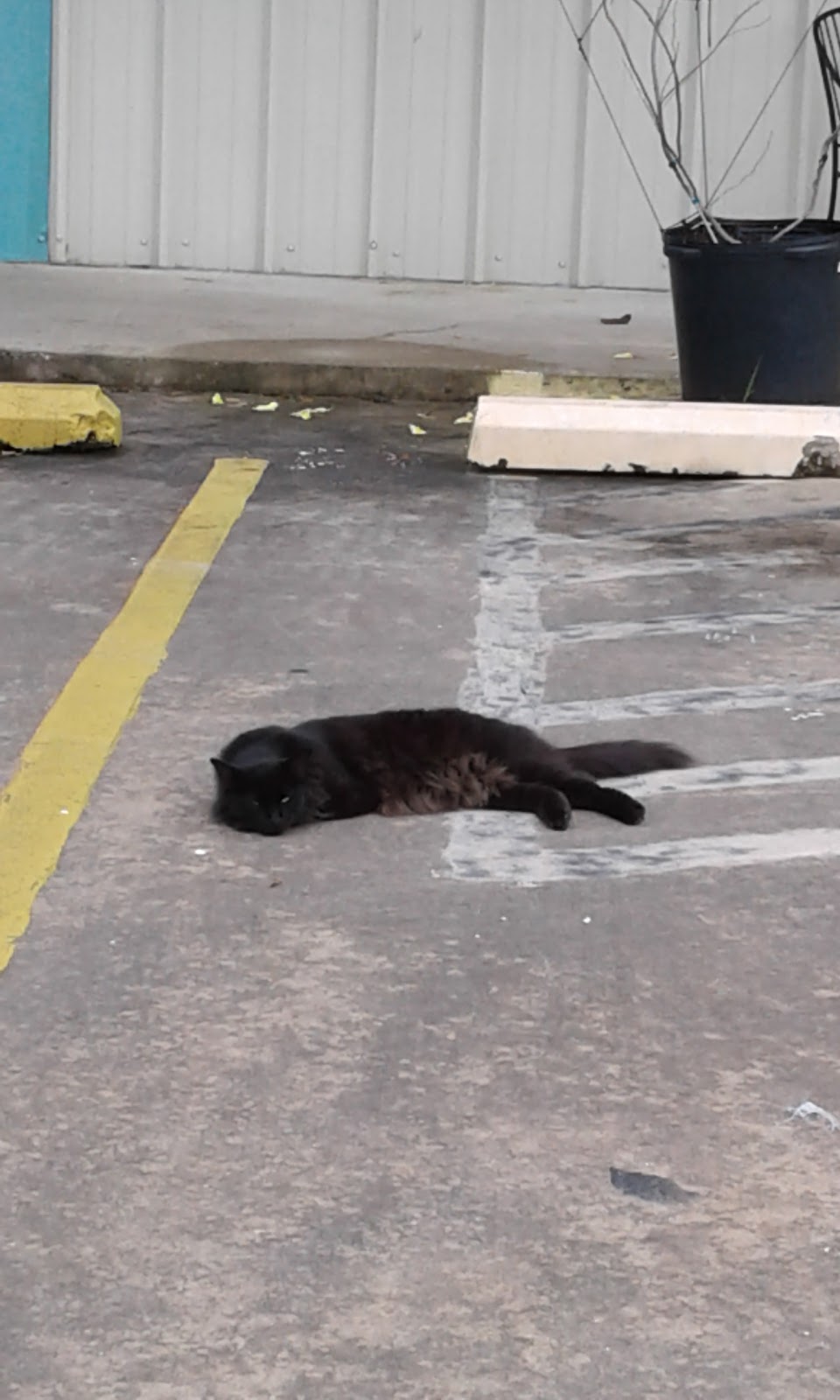 Mobile Manor RV Park