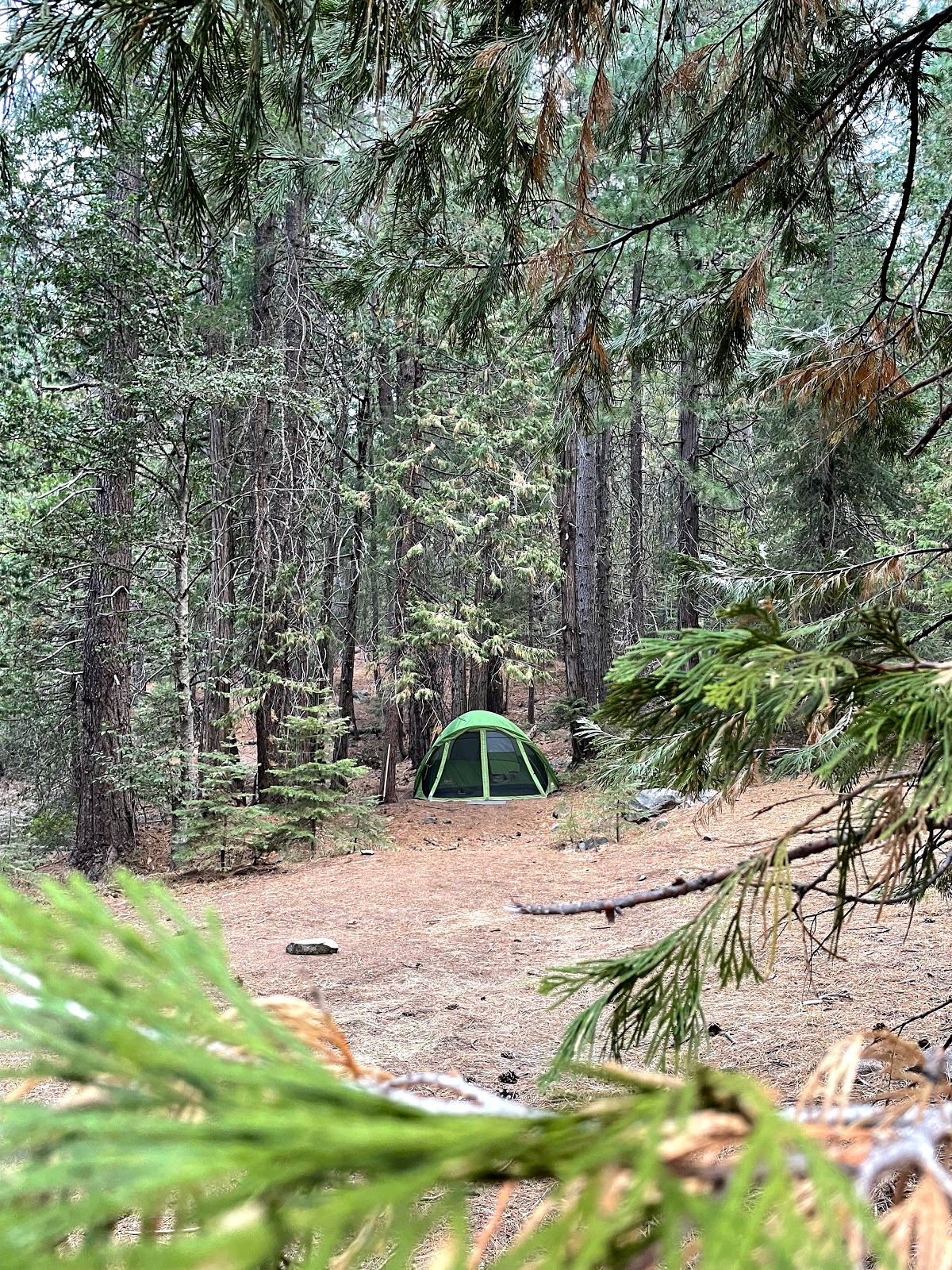 Tunnel Mills Group Campground