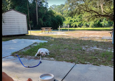 Tall Timber Trailer Park