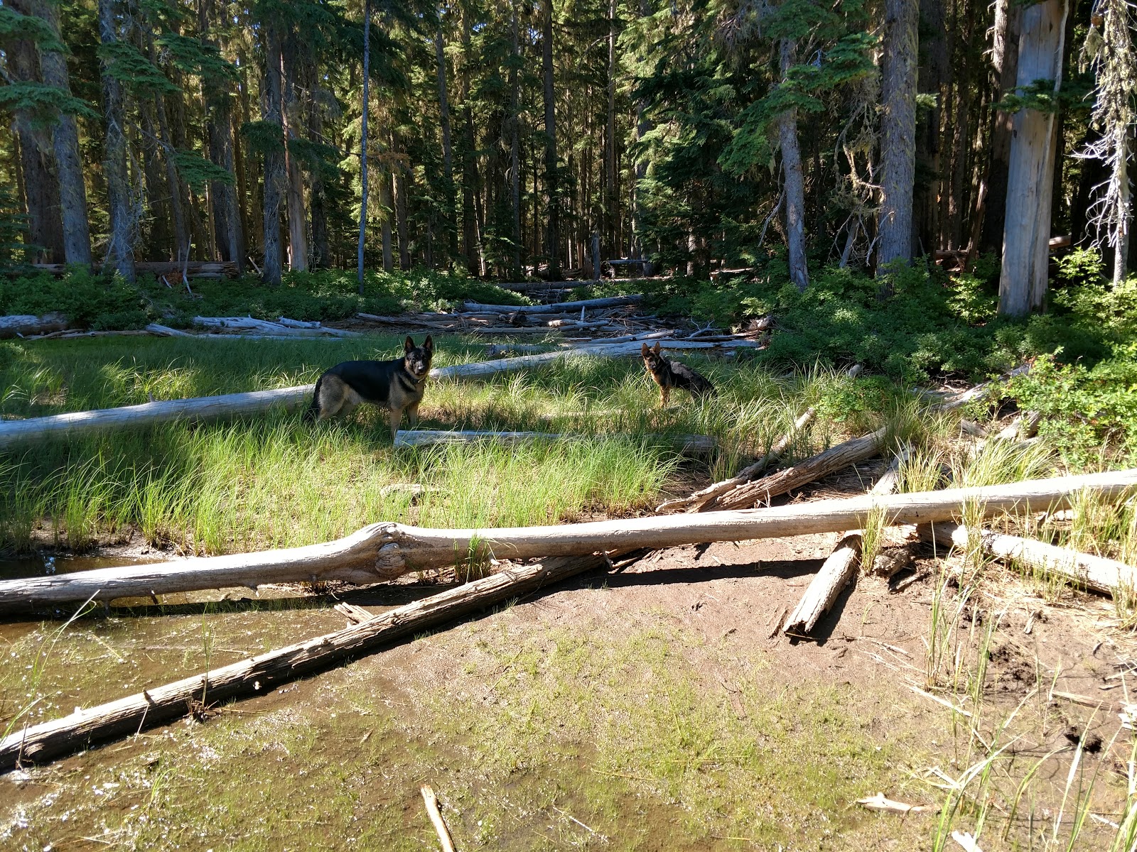 Summit Lake Campground