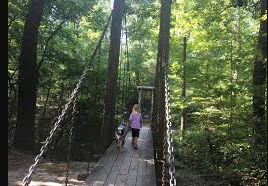 Crowley Ridge Campground