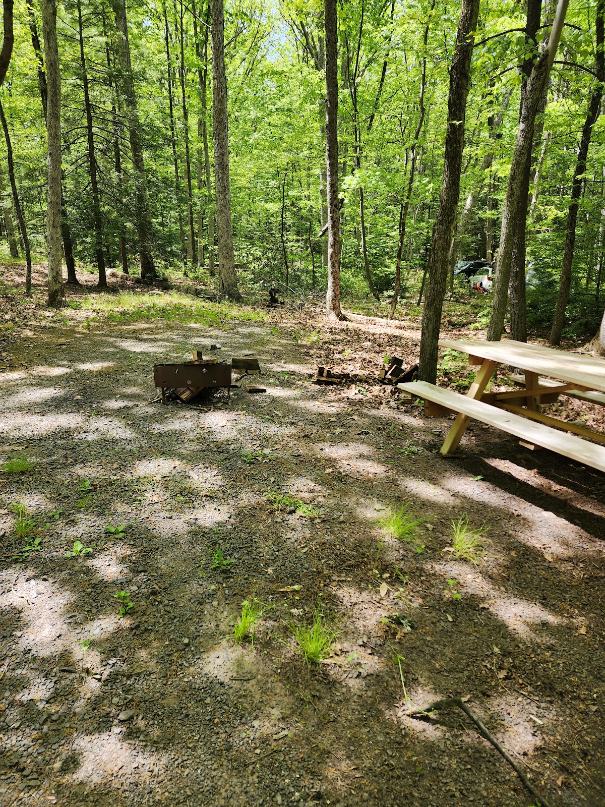 Locust Lake State Park