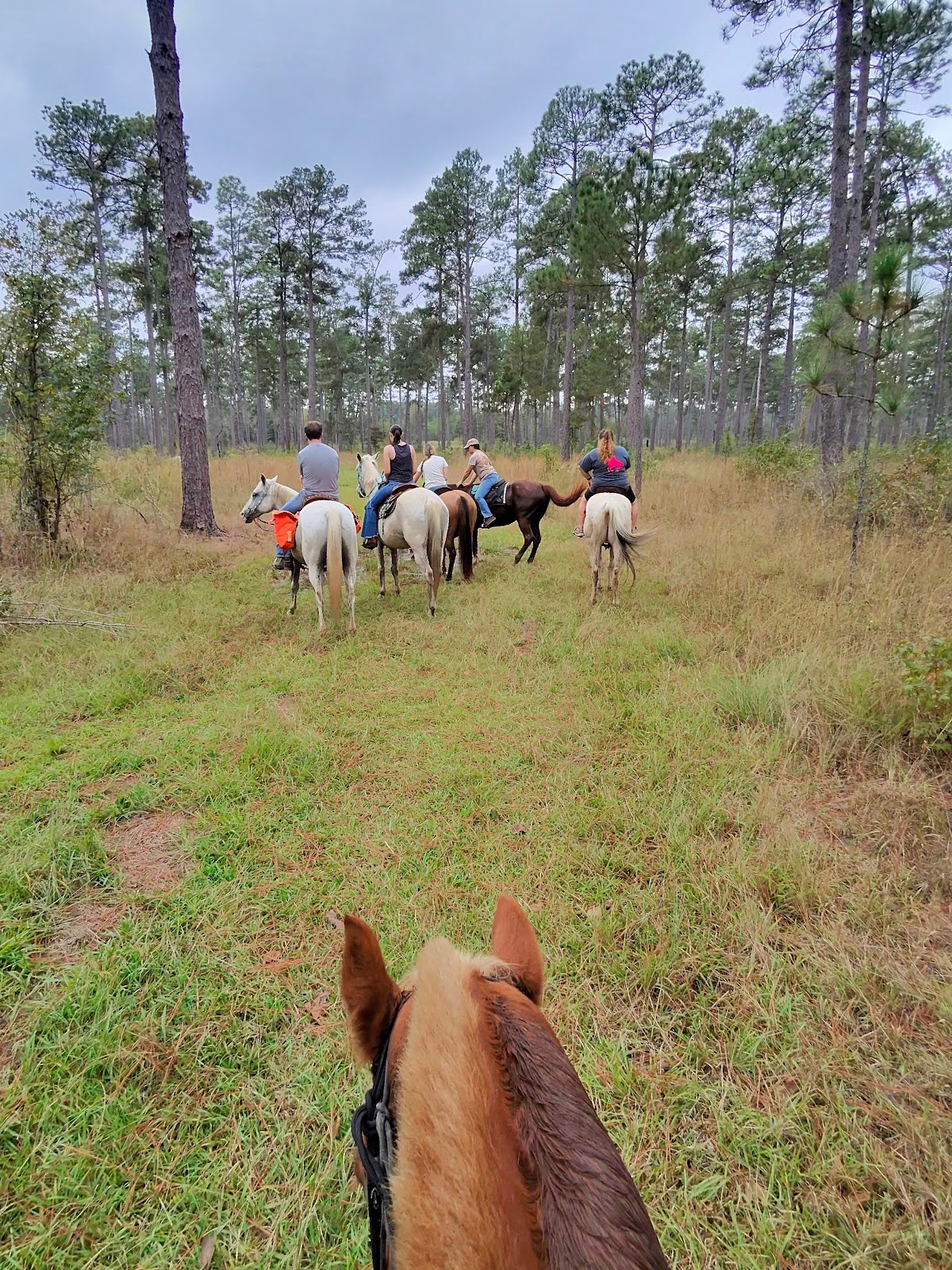 Indian Creek Recreation Area