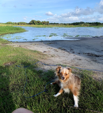Mullet Lake County Park
