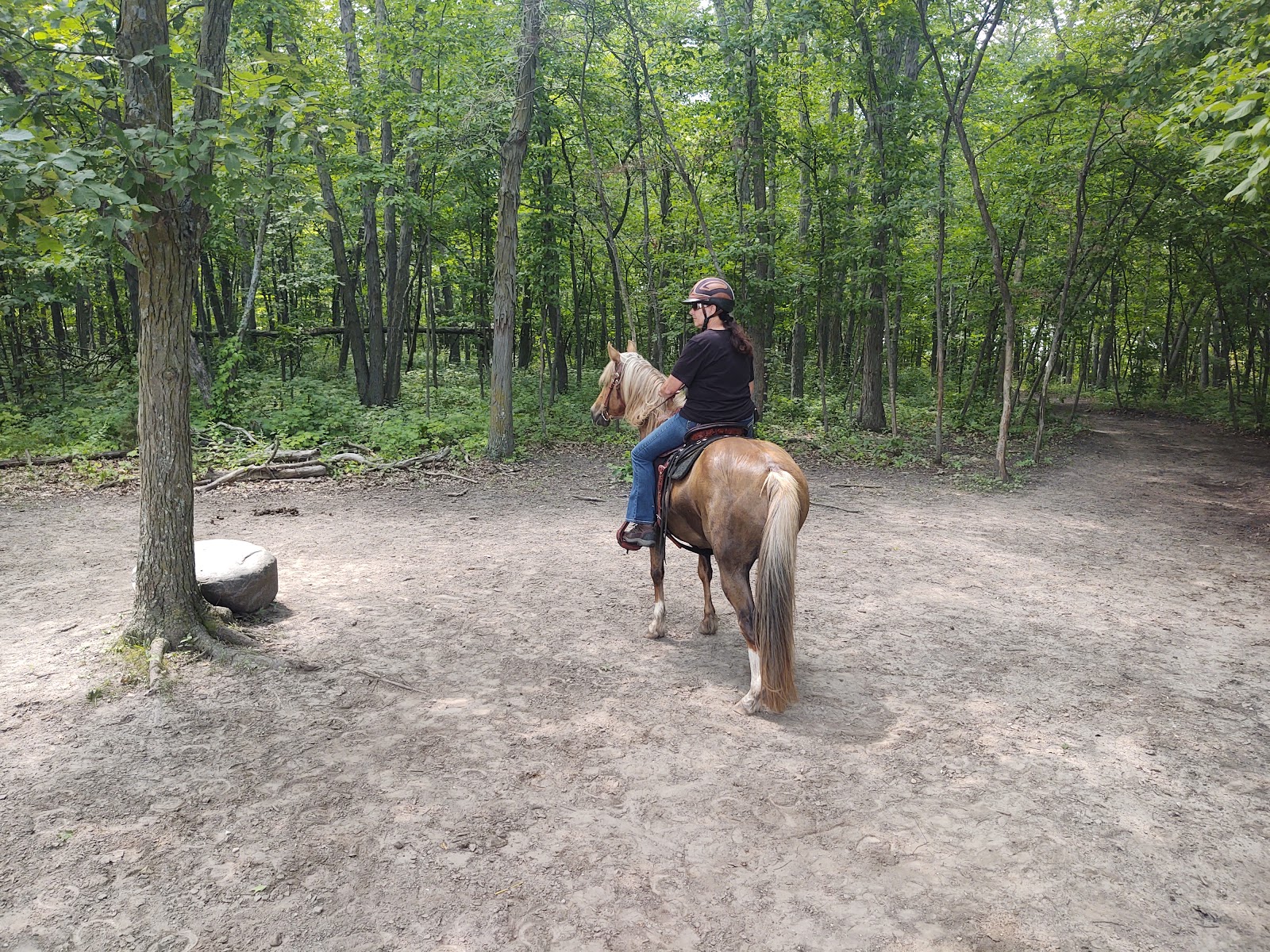 Brushy Creek State Park
