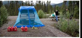 Marion Creek Campground