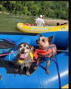 Diamondhead Resort Camping