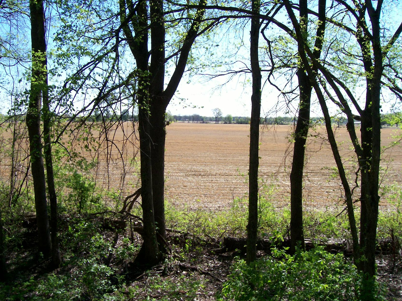 Delta Heritage Trail