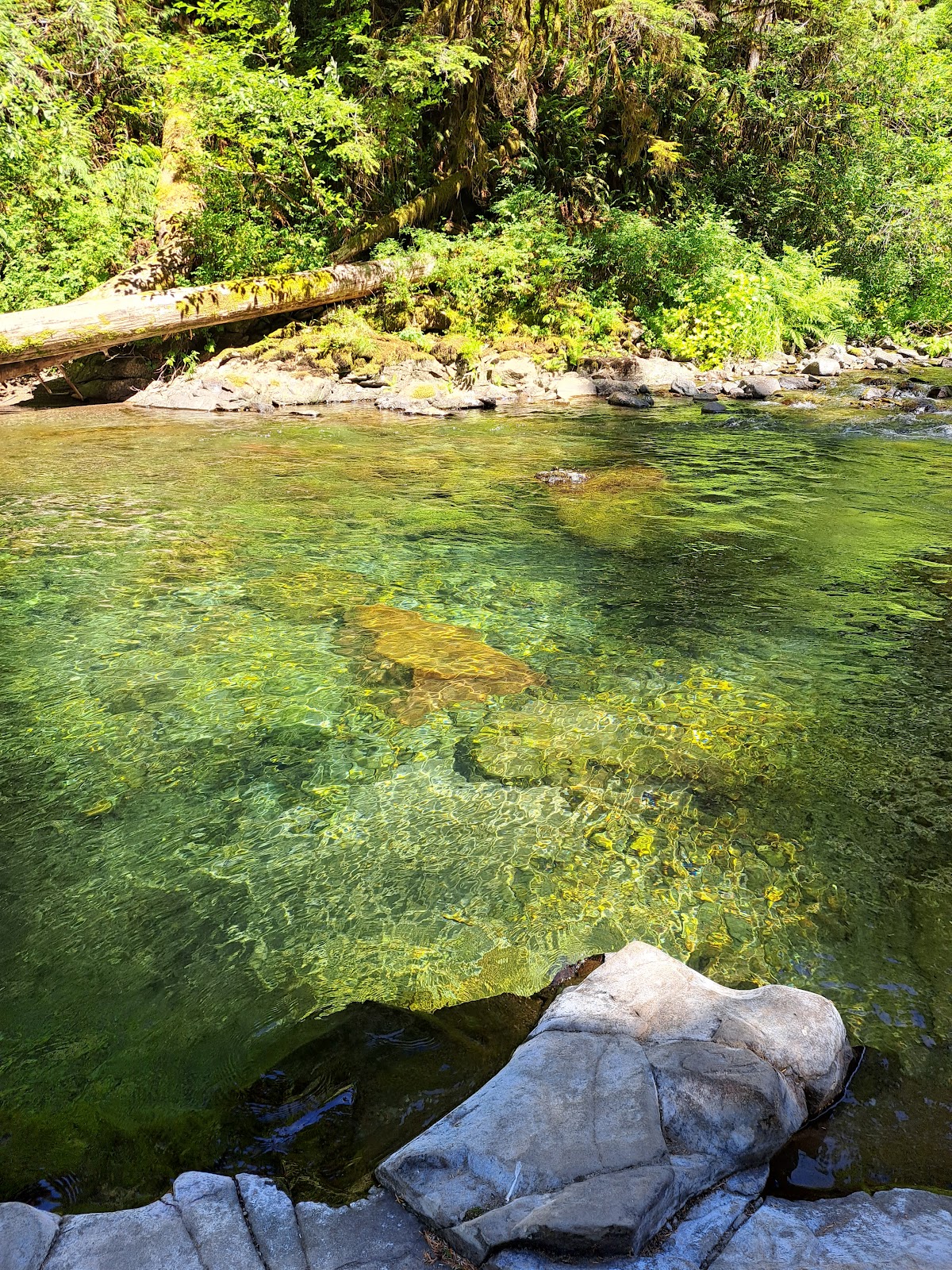 Canyon Creek Campground
