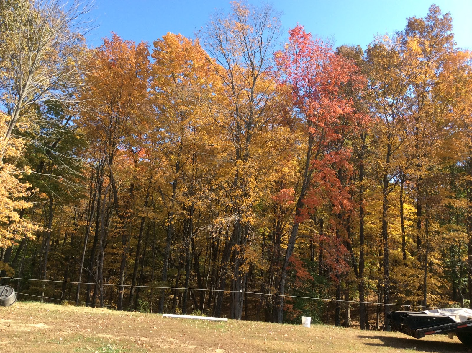 hickory ridge horsecamp