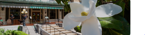 Hot Springs National Park