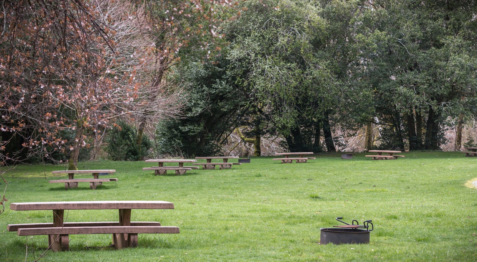 Edson Creek Campground