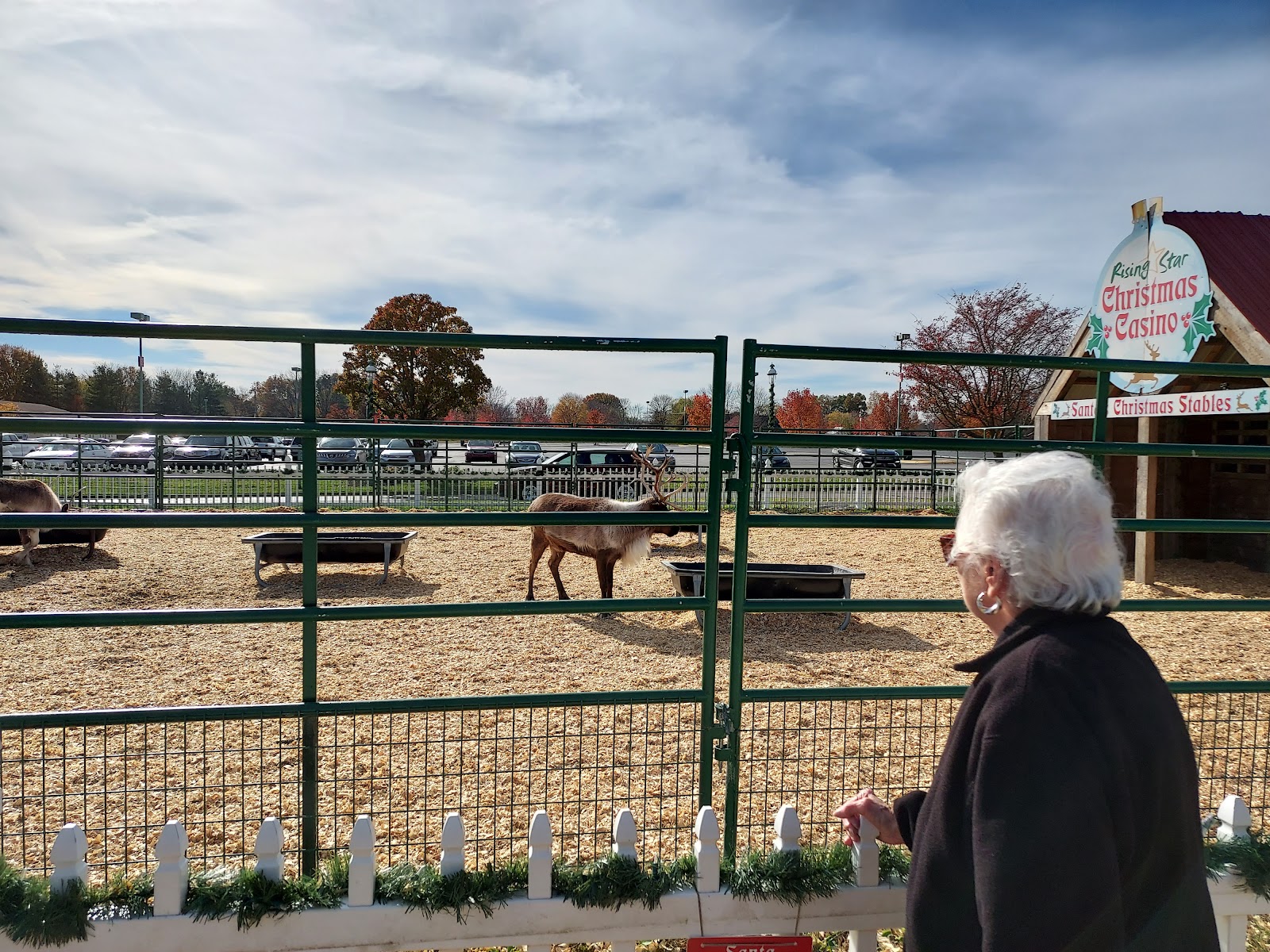 Grand Victoria Casion & Resort