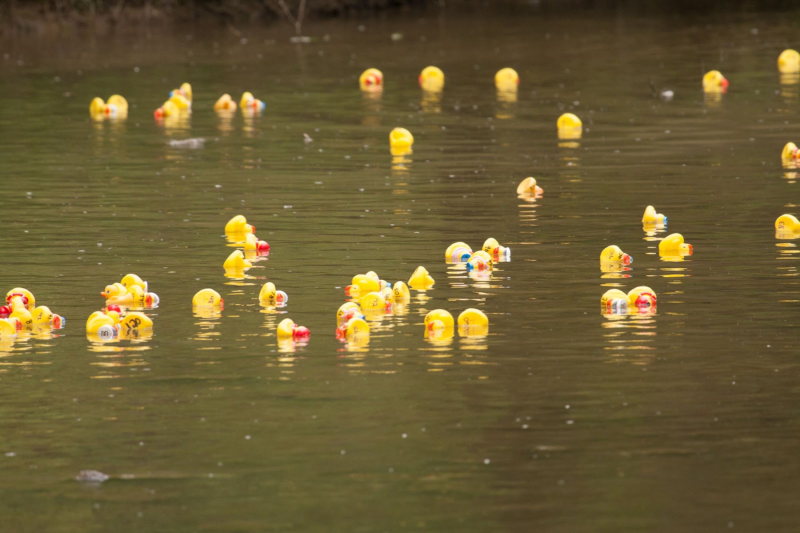 Sunset Springs RV Resort